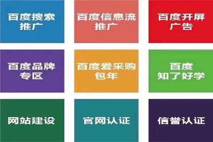 竞价推广策略解析：实战案例分析